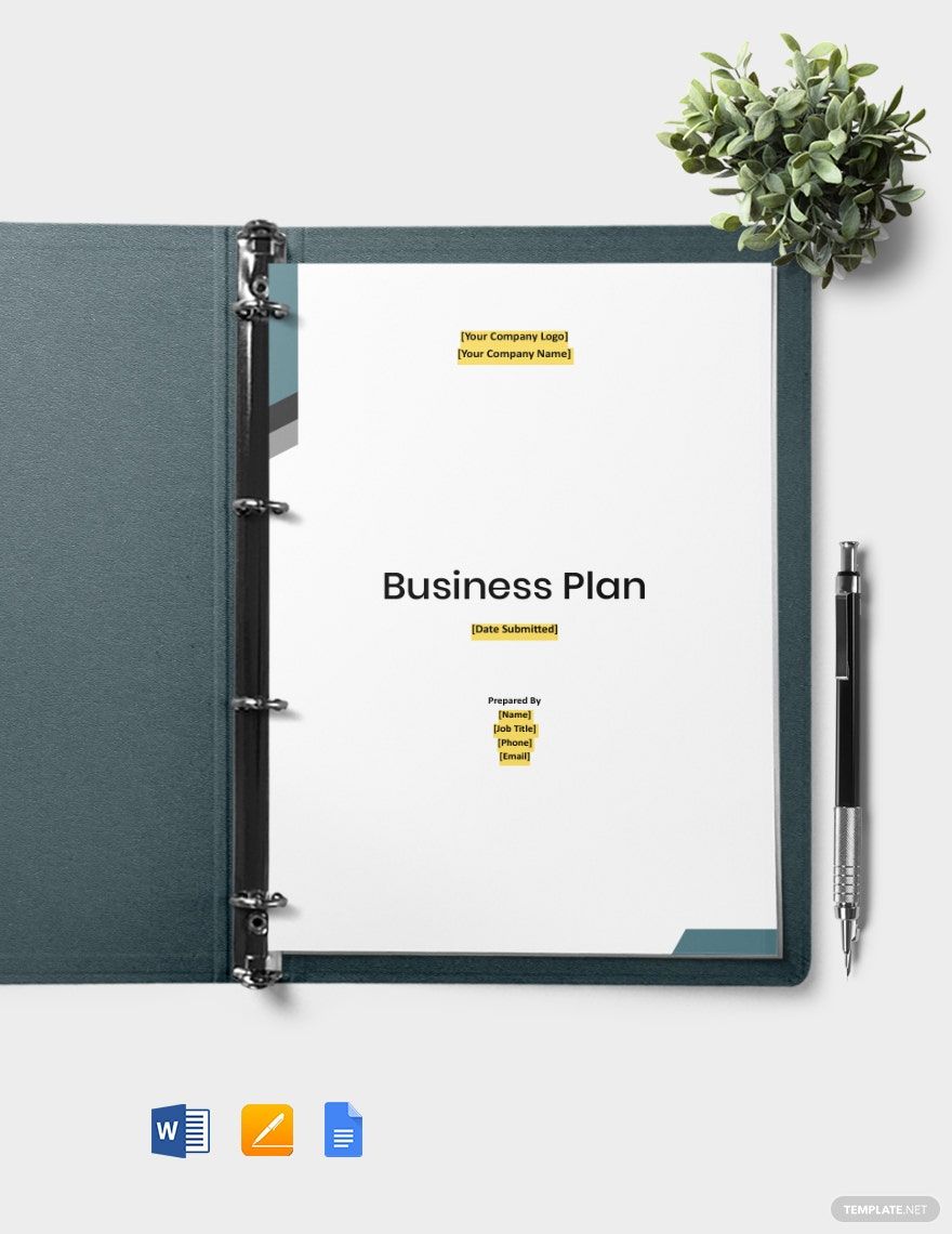 Software Company Business Plan Template