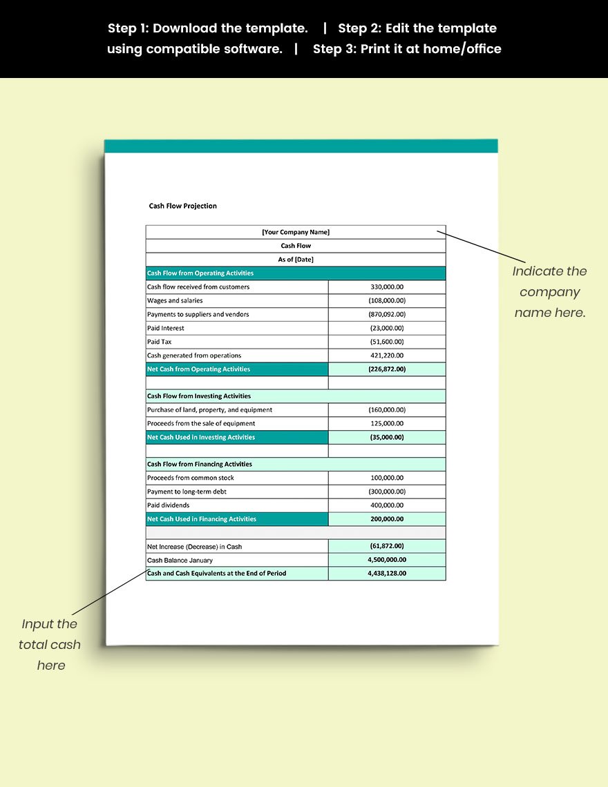 Software Sales Business Plan Template