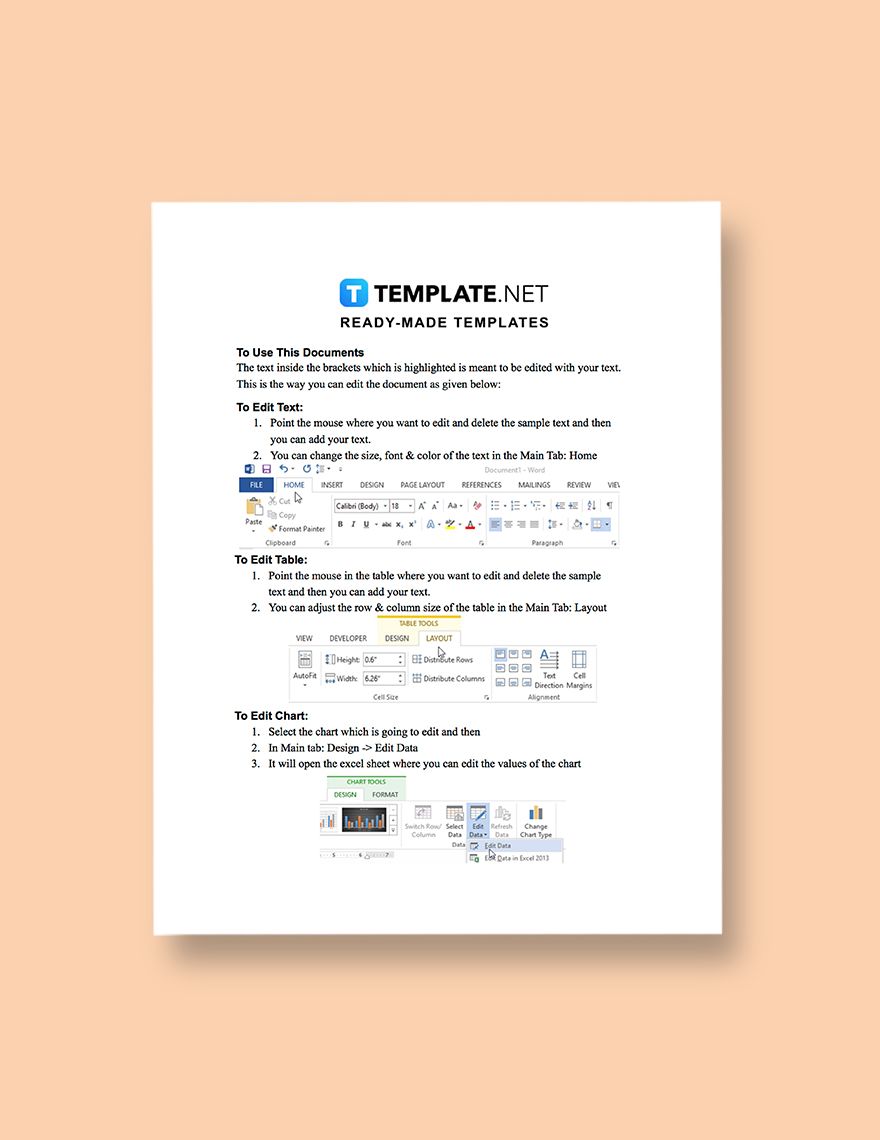 IT Support Business Plan Template