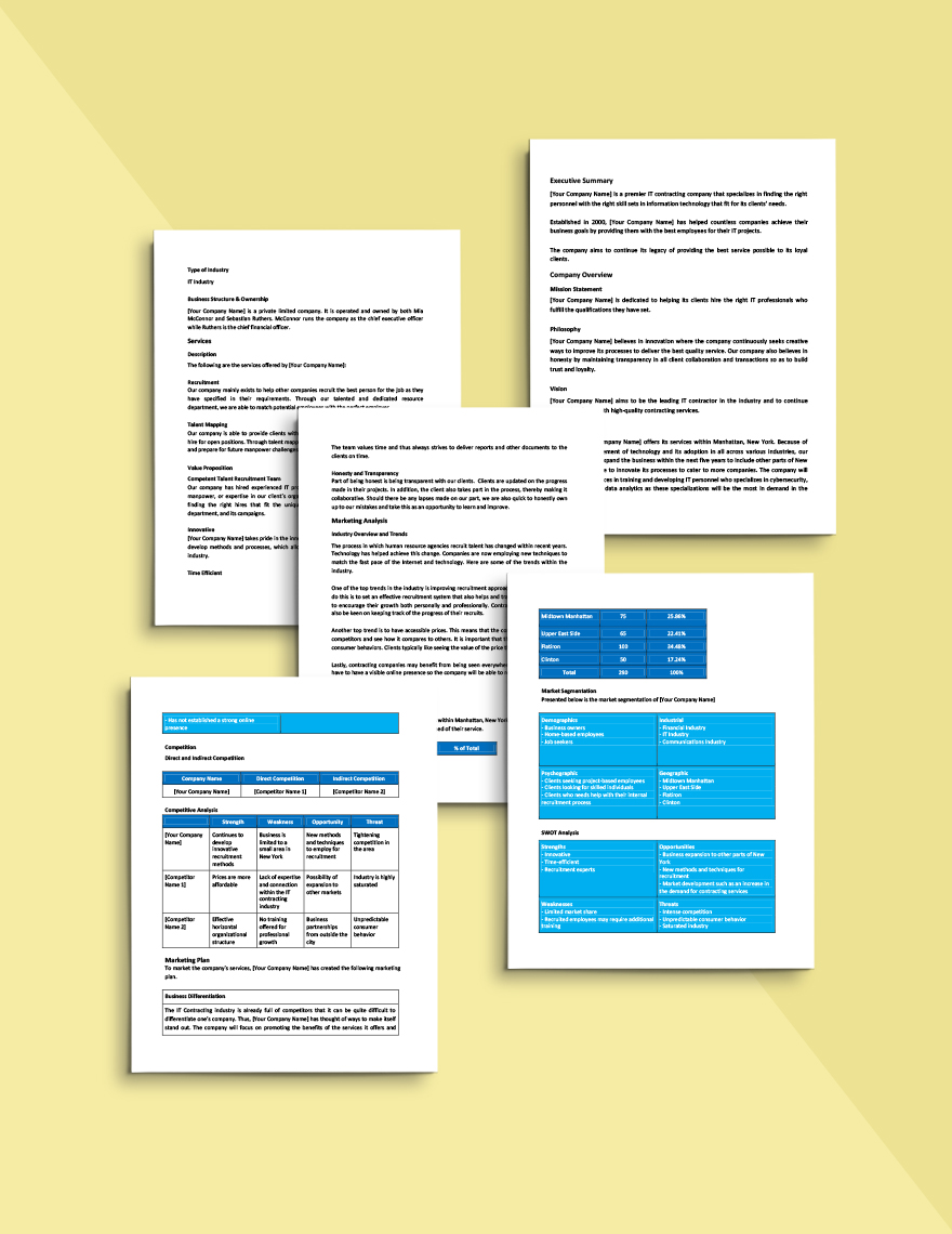 IT Contractor Business Plan Template