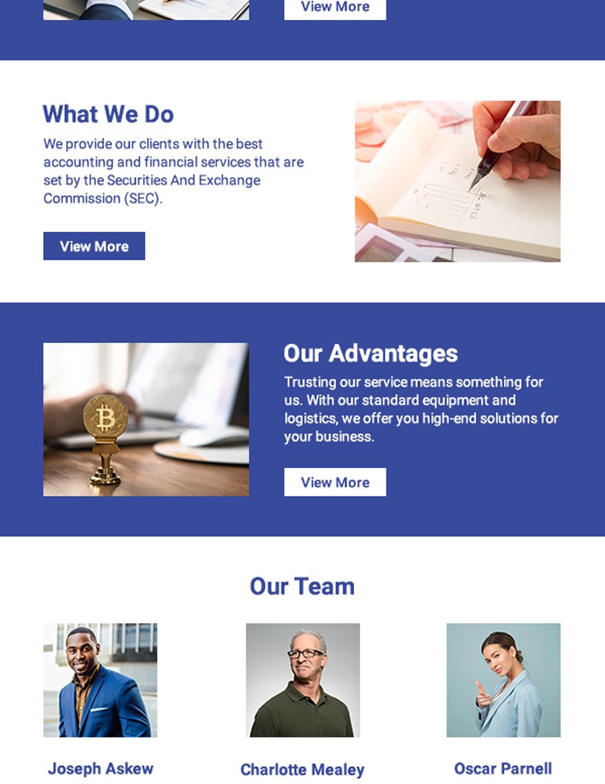 Accountancy Firm Email Newsletter Template