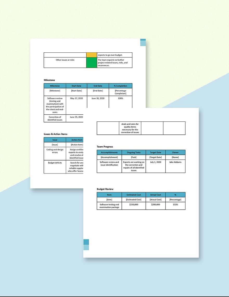 Software Review Report Template