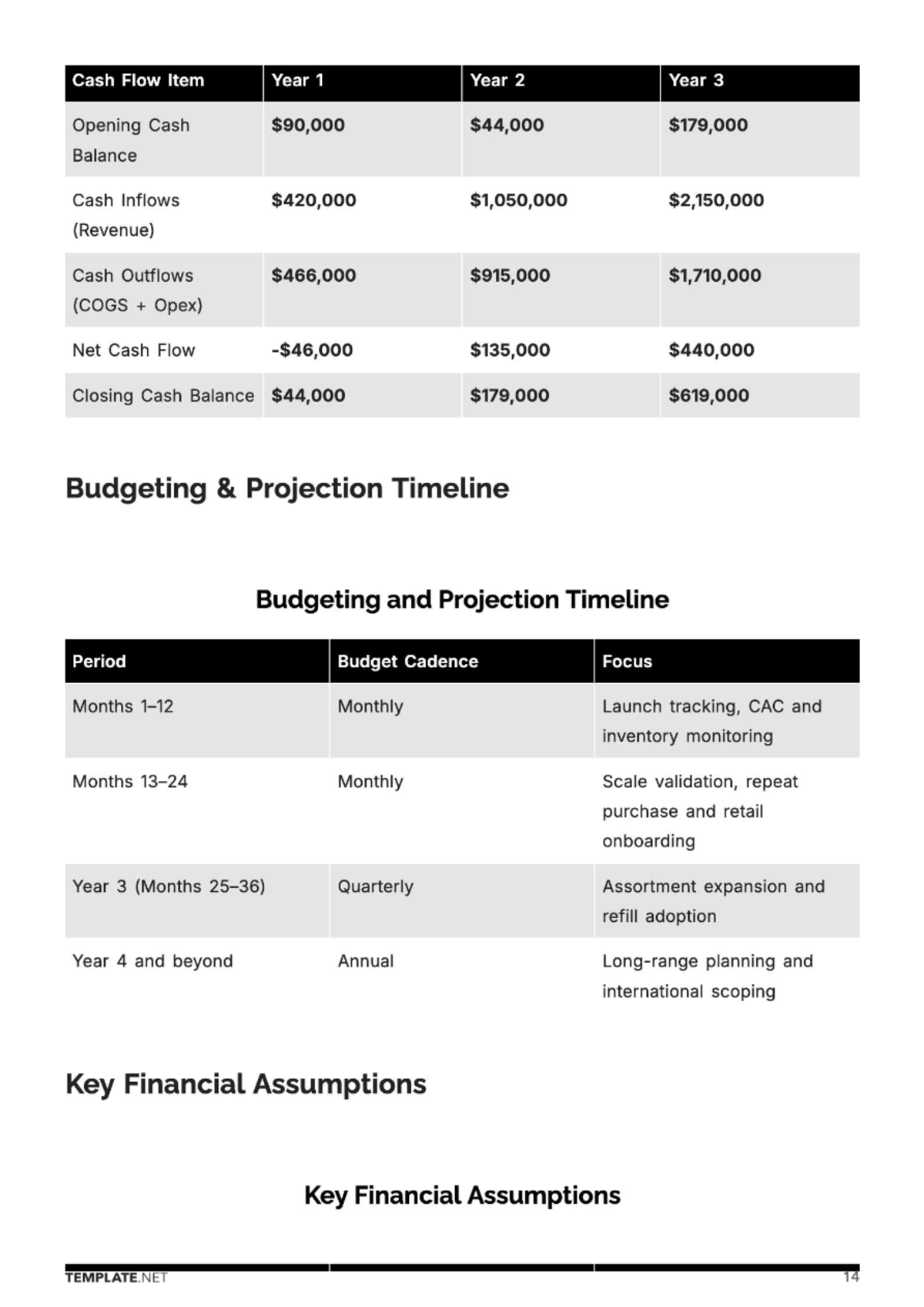 Free Cosmetic Store Business Plan Template to Edit Online