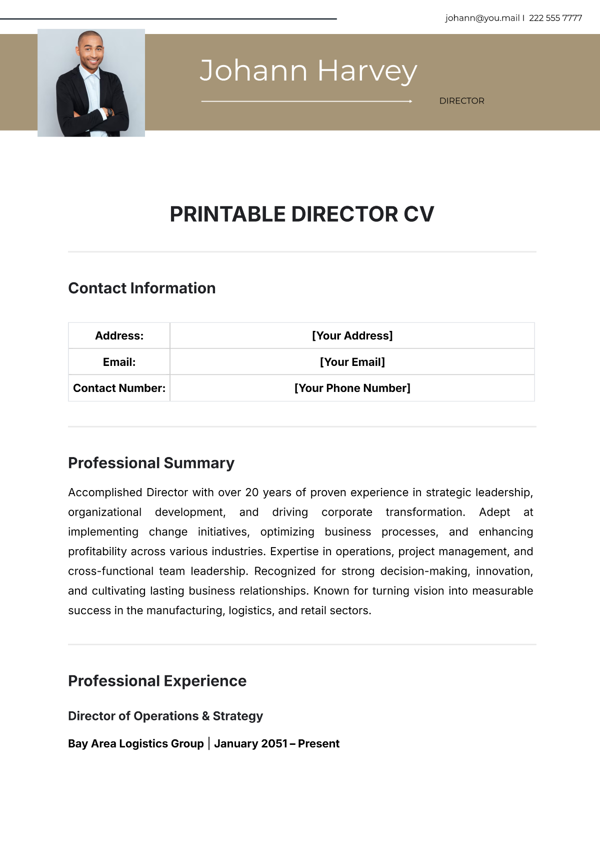 Printable Director CV Template - Edit Online & Download