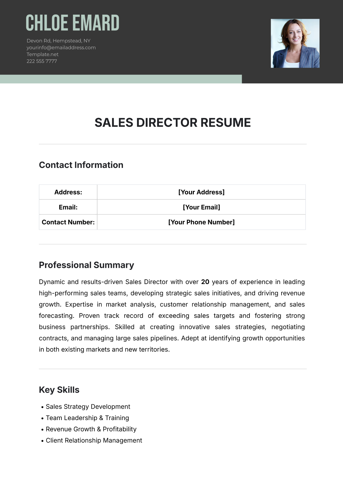 Sales Director Resume Template - Edit Online & Download