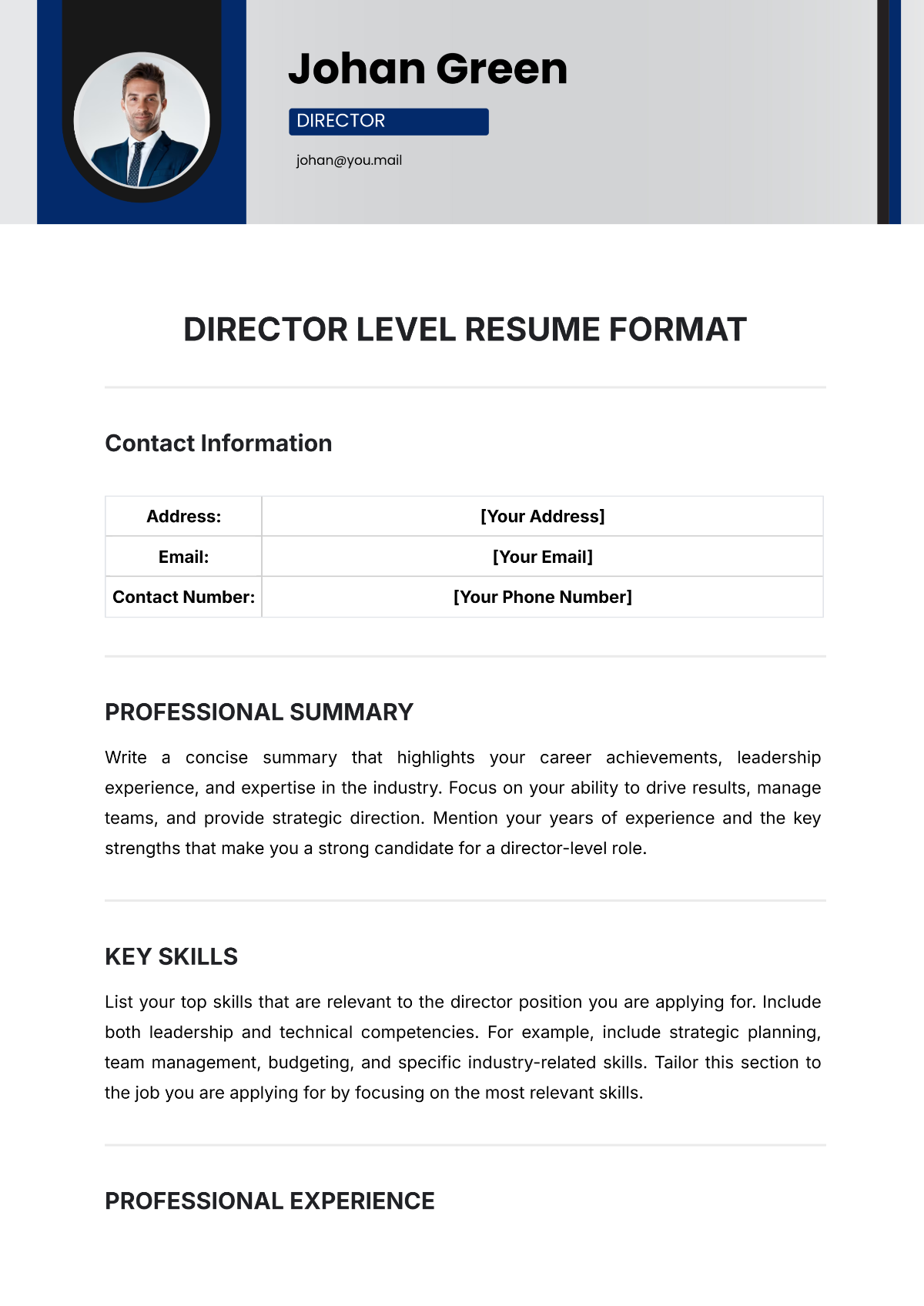 Director Level Resume Format Template - Edit Online & Download