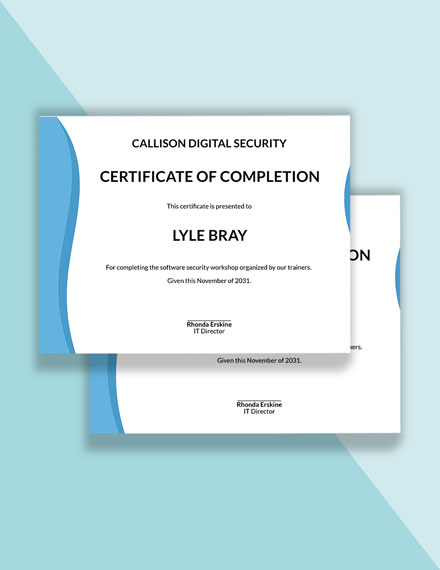 Software Security Certificate Template - Google Docs, Illustrator, Word, Apple Pages, PSD