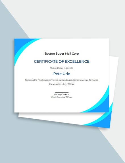 it and software certificate
