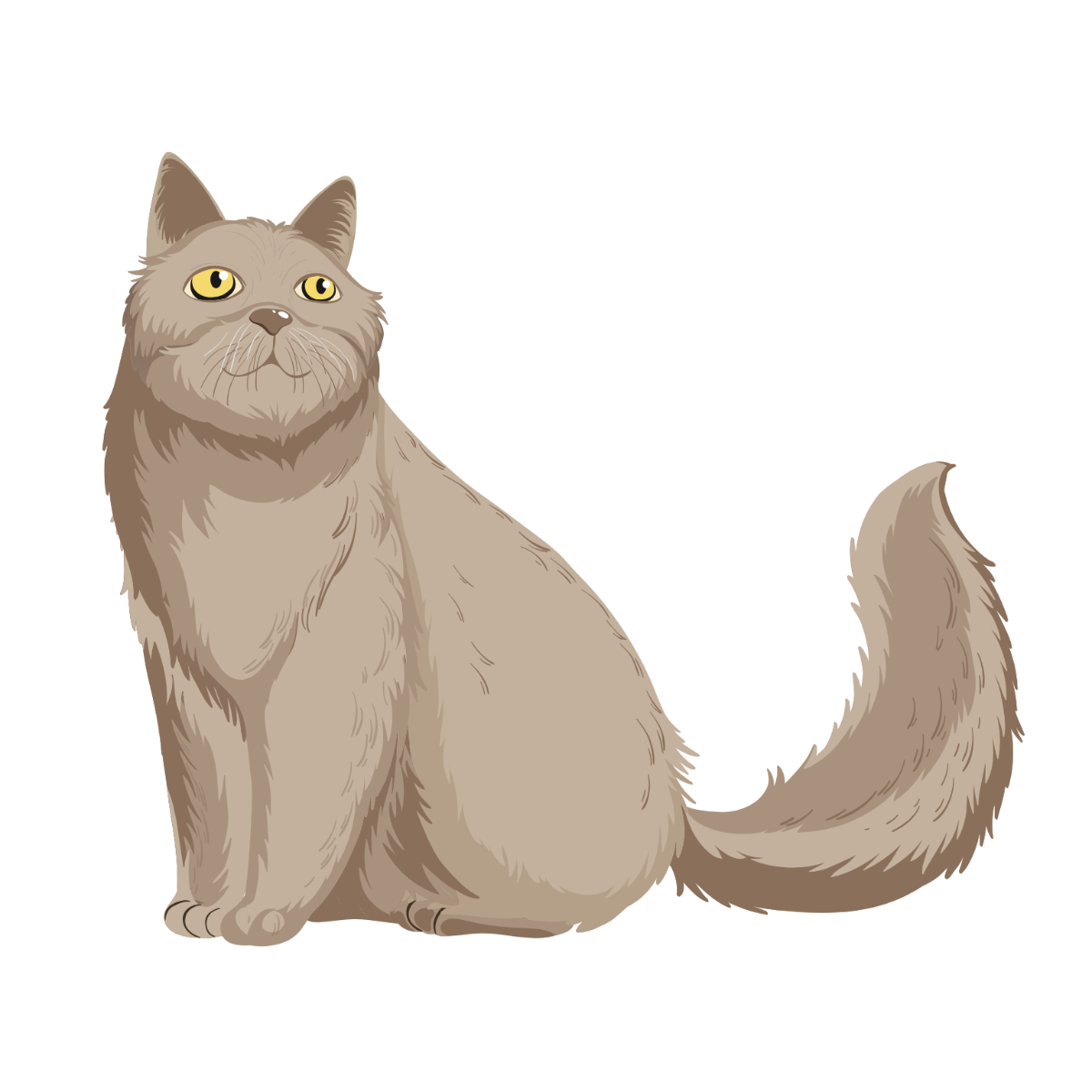 Realistic Cat Clipart