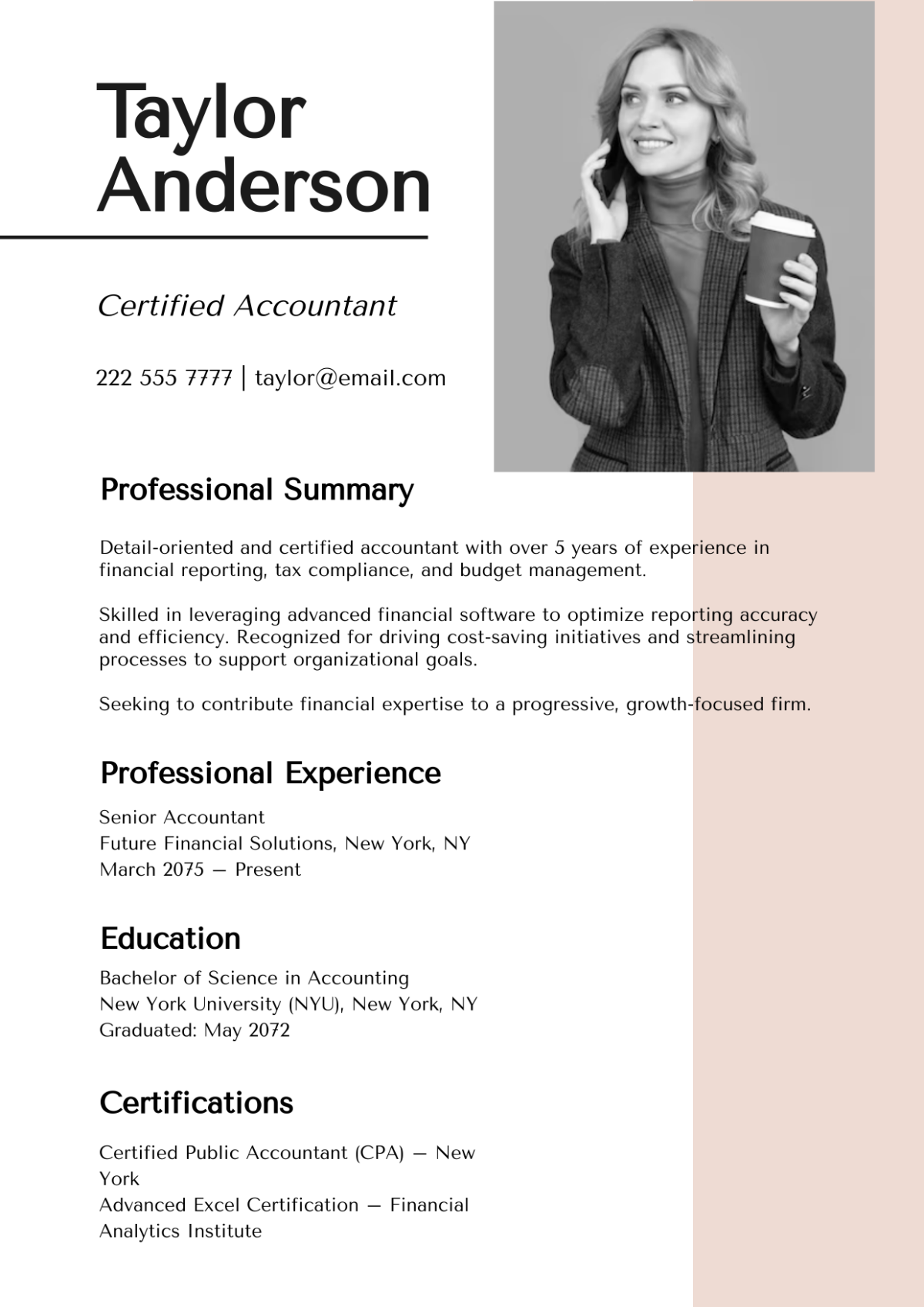 Modern Blank Resume