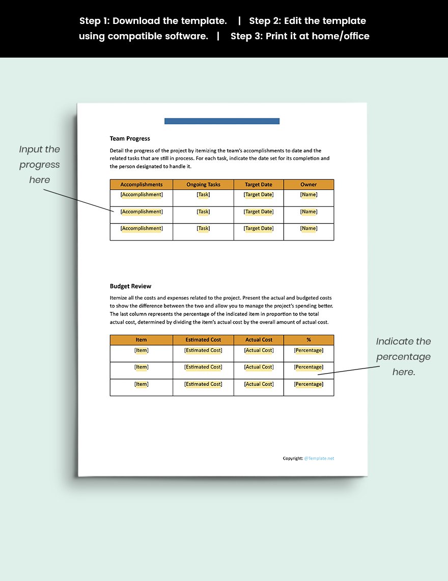 Basic IT and Software Report Template