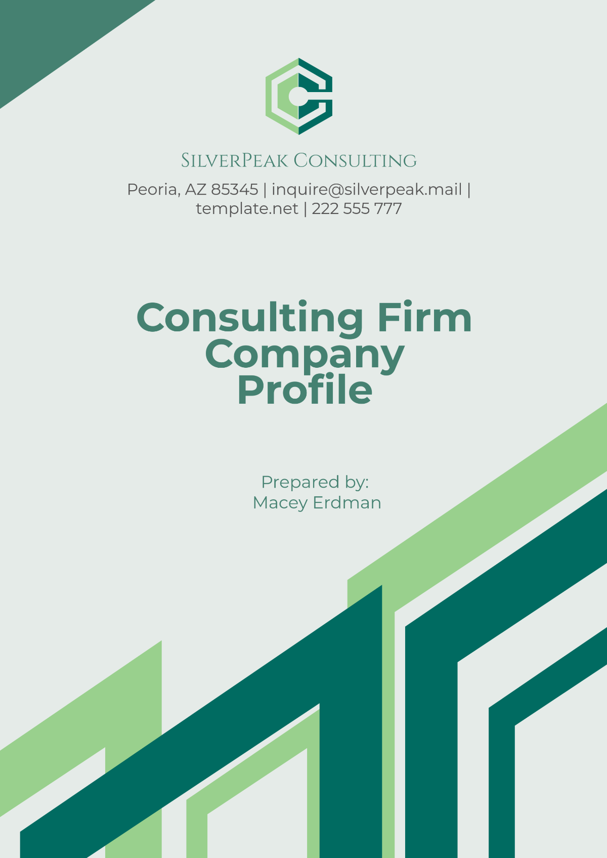 Consulting Firm Company Profile Template - Edit Online & Download