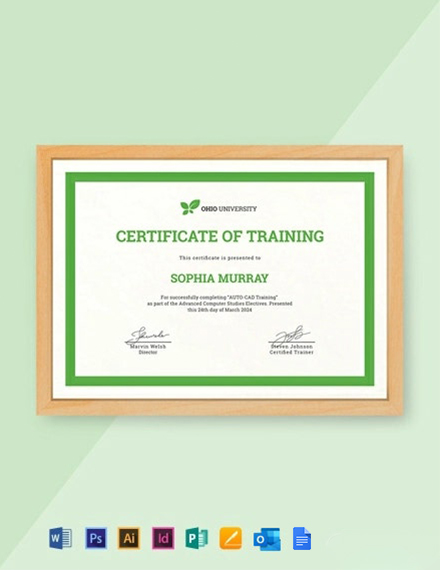 Computer Training Certificate Template - Google Docs, Illustrator, InDesign, Word, Outlook, Apple Pages, PSD, Publisher