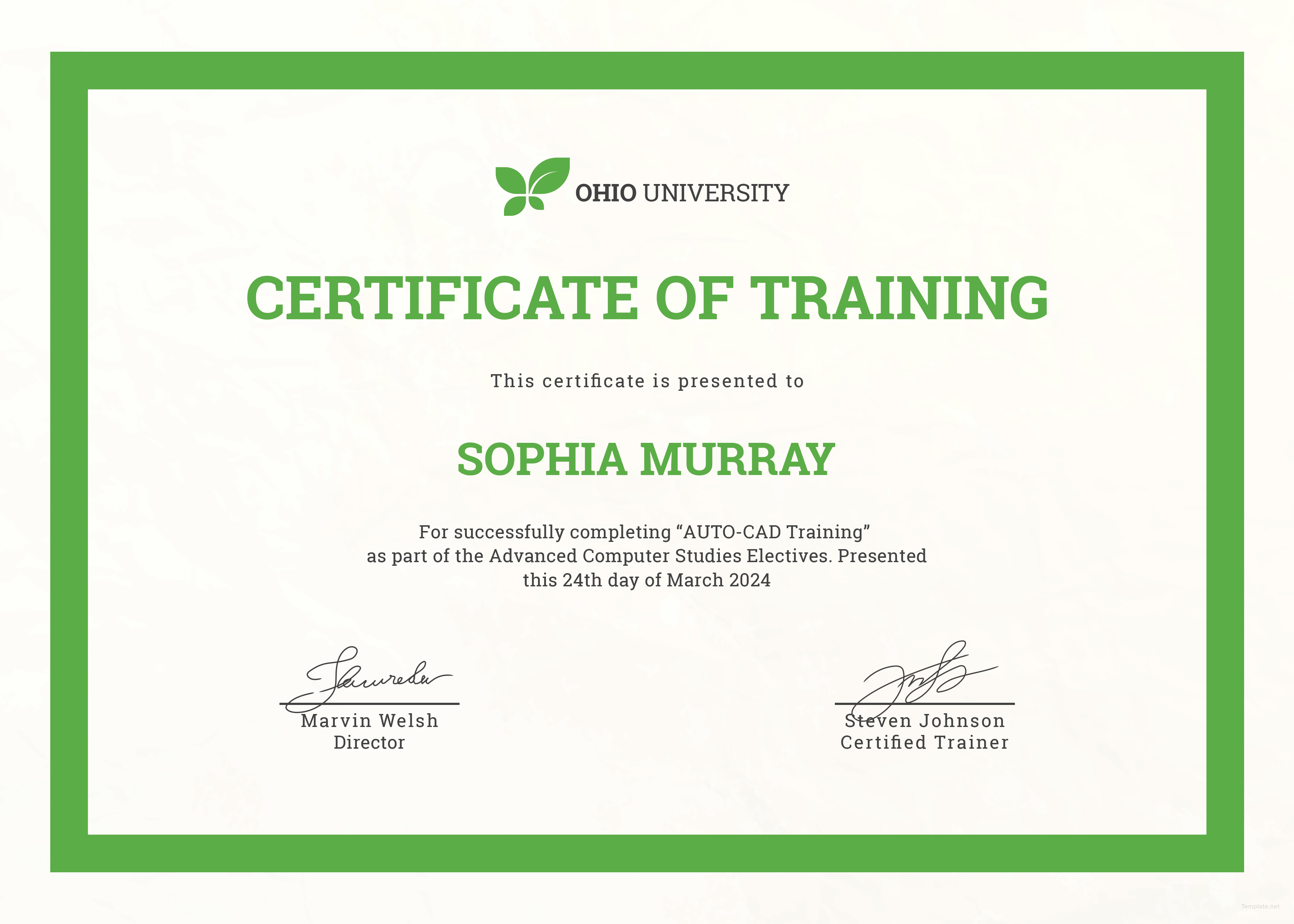 Free Computer Training Certificate Template In PSD MS Word Publisher 