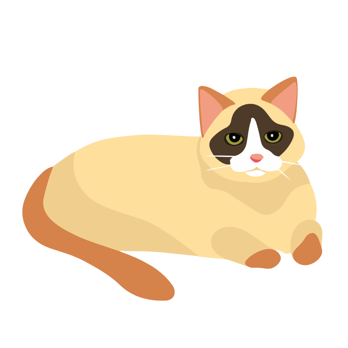 Cat Sitting Clipart