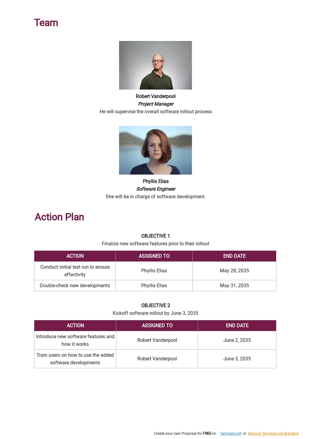 Free Software Rollout Plan Template Google Docs Word PDF Template