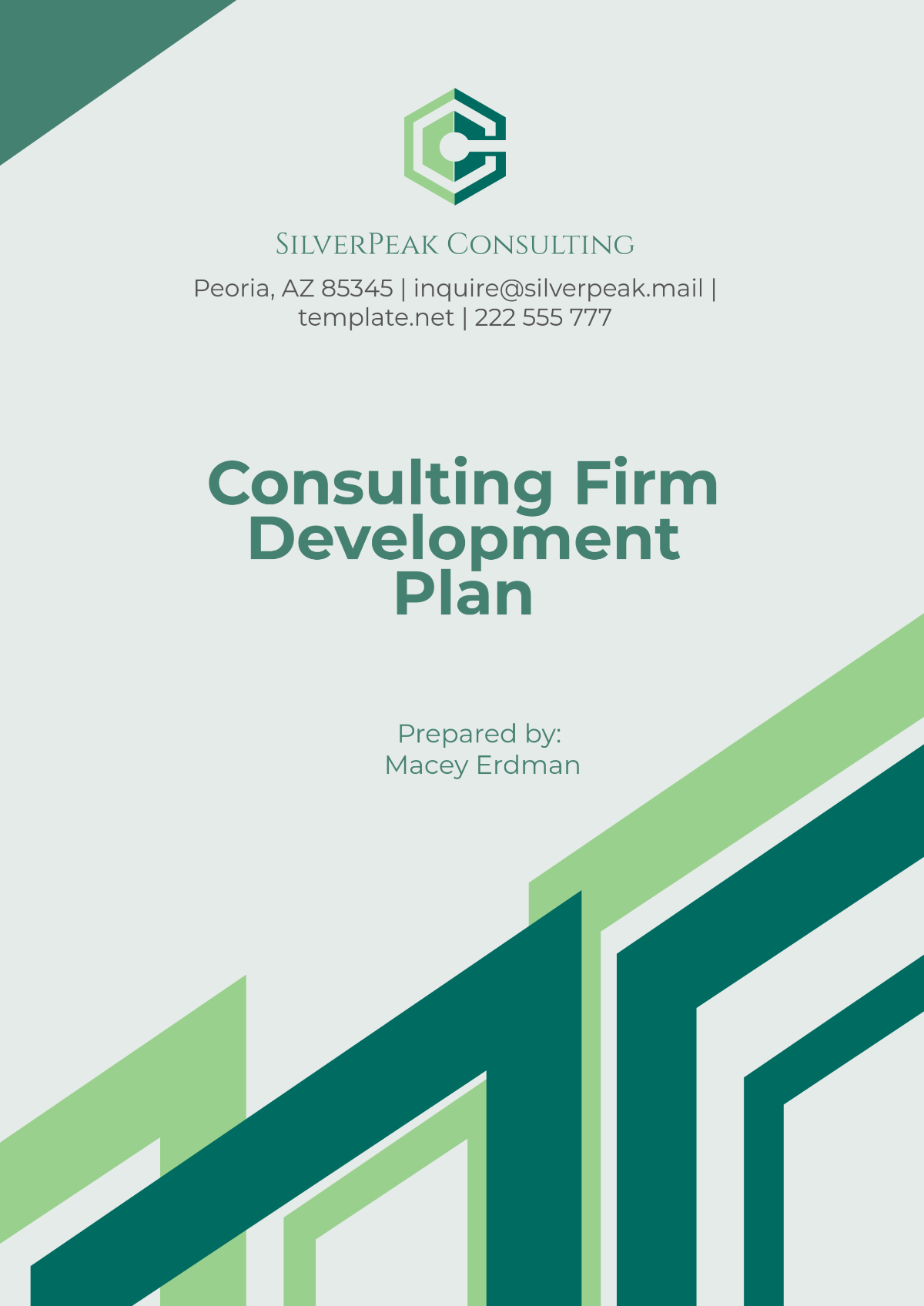 Consulting Firm Development Plan Template - Edit Online & Download