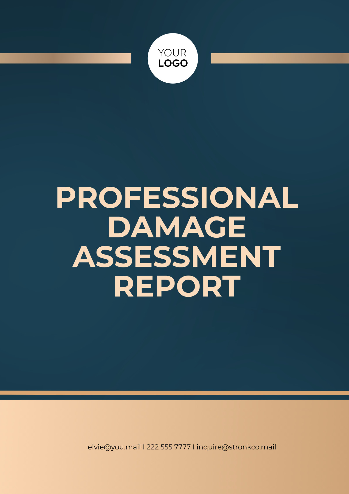 Professional Damage Assessment Report Template - Edit Online & Download