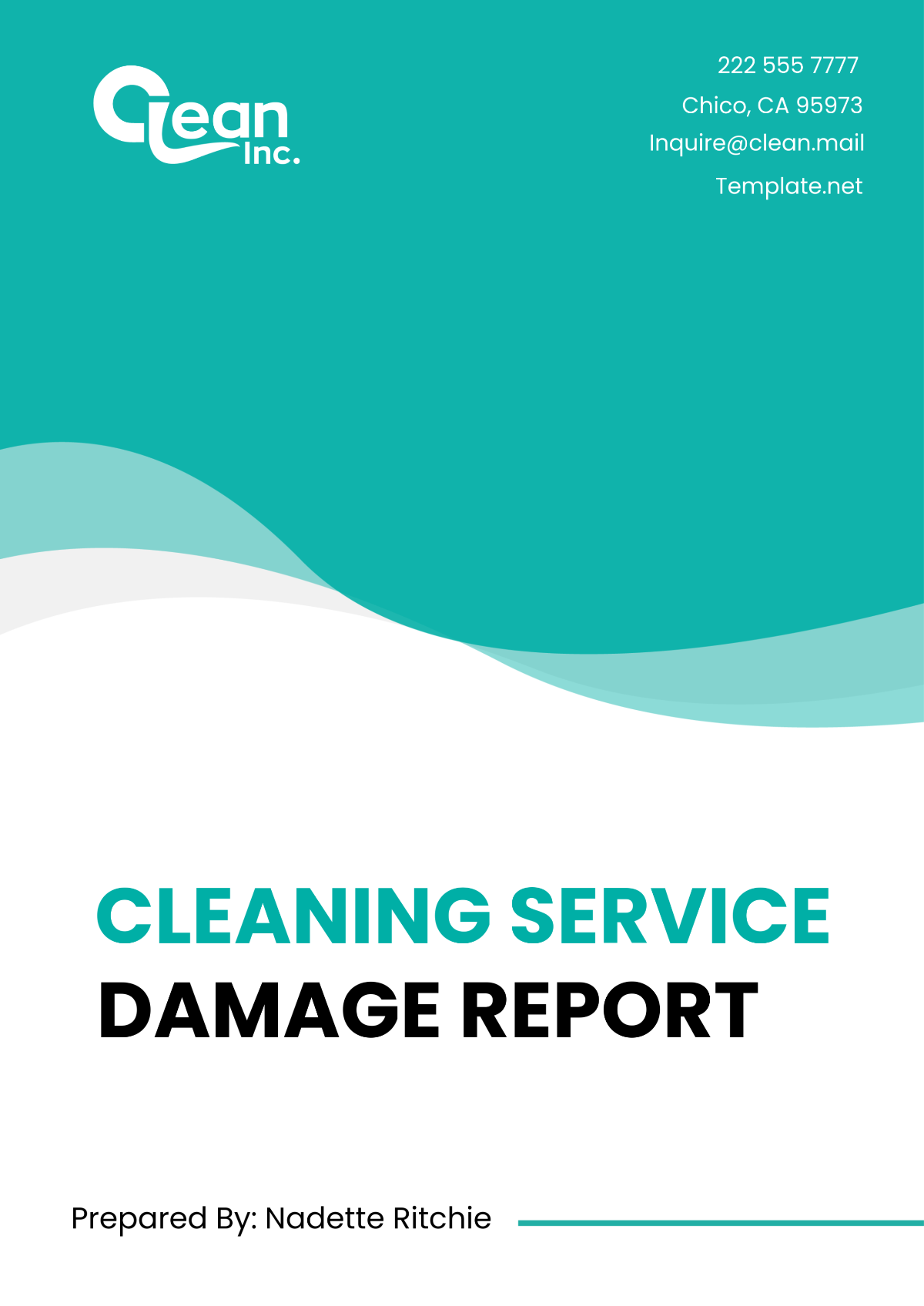 Cleaning Service Damage Report Template - Edit Online & Download