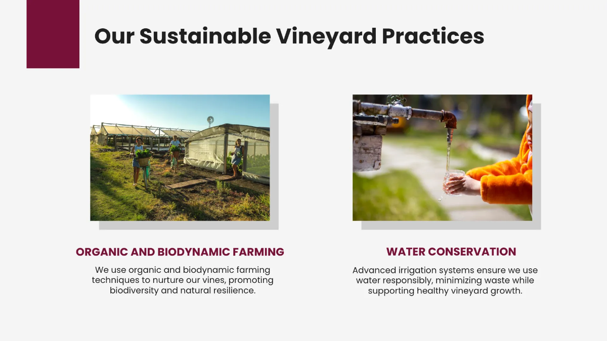 Free Wine Presentation Template to Edit Online