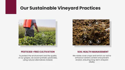 Free Wine Presentation Template to Edit Online