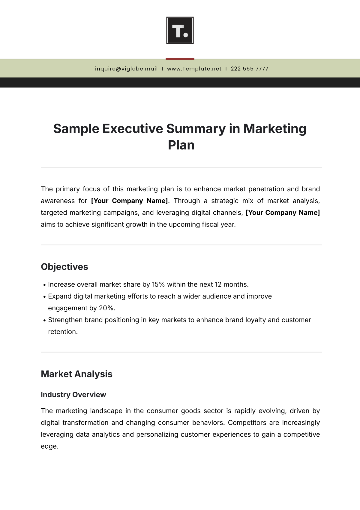 Sample Executive Summary in Marketing Plan Template - Edit Online & Download