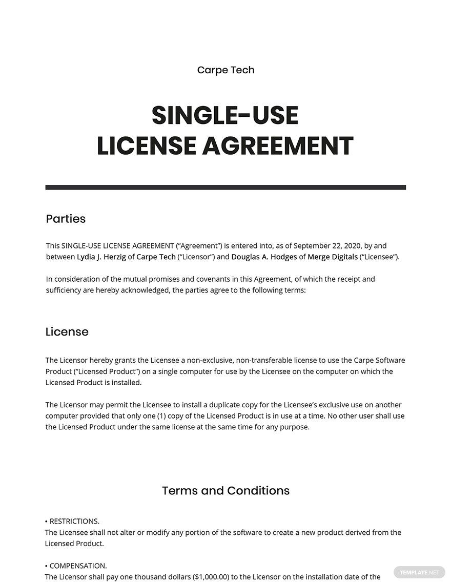 Free Single Use License Agreement Template