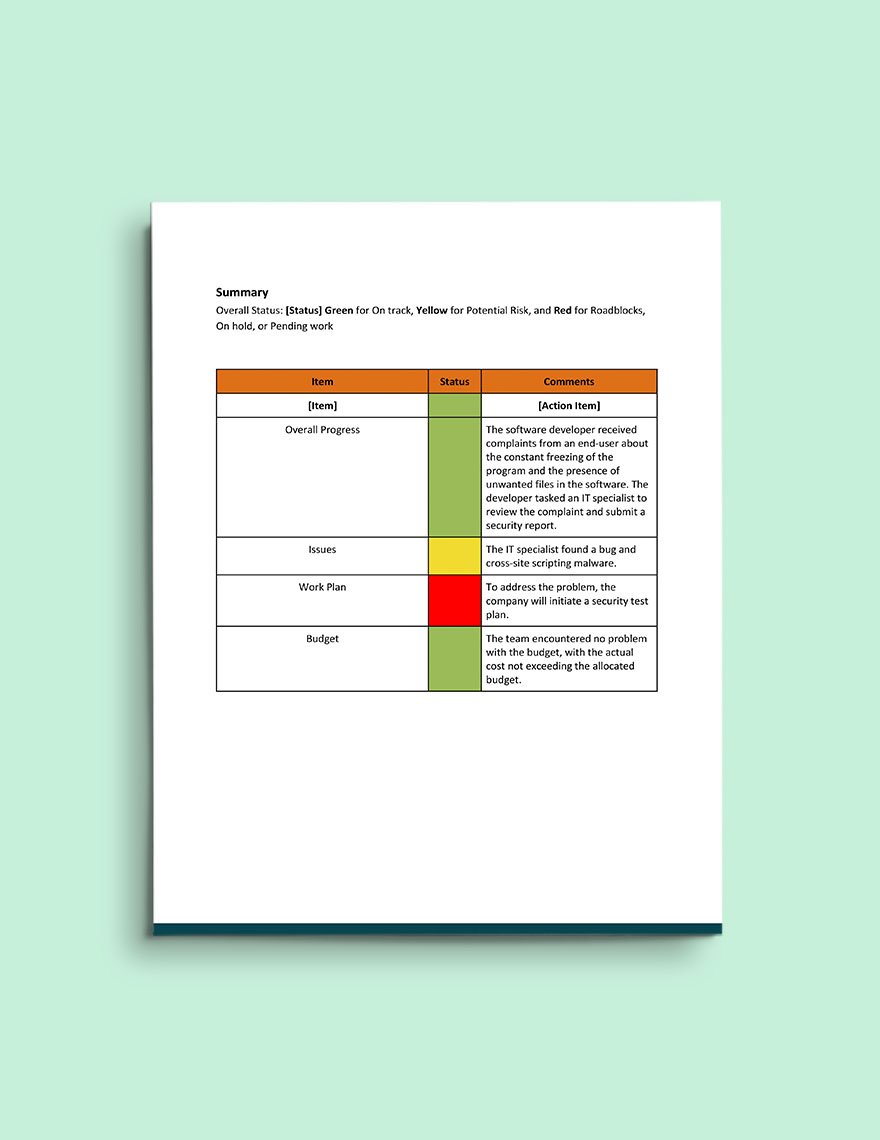 Software Security Report Template