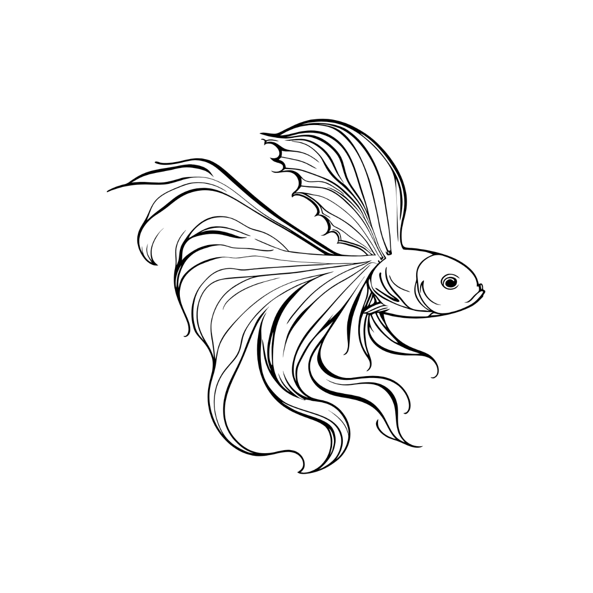 Fish Outline Clipart