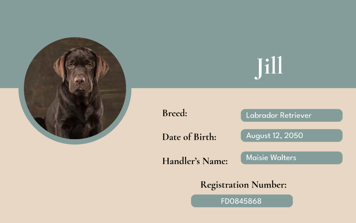 Federal Service Dog ID Card Template - Edit Online & Download