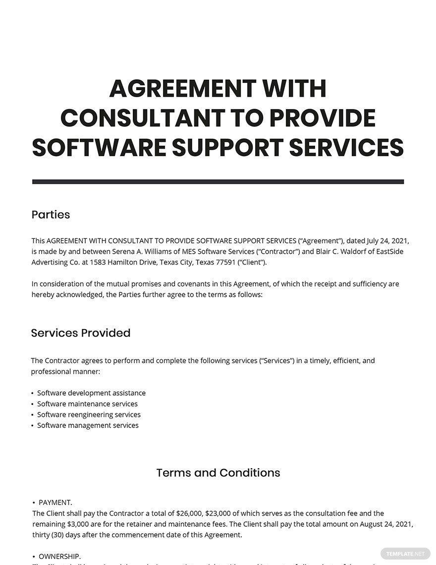Agreement with Consultant to Provide Software Support Services Template