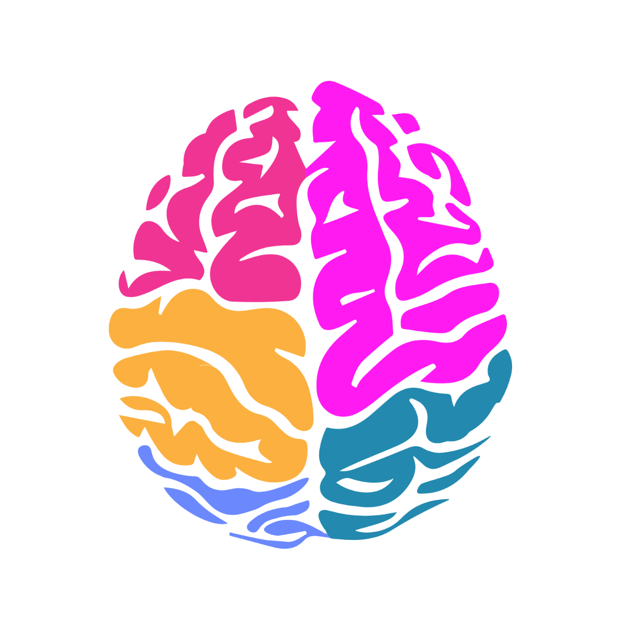 Brain Anatomy Clipart