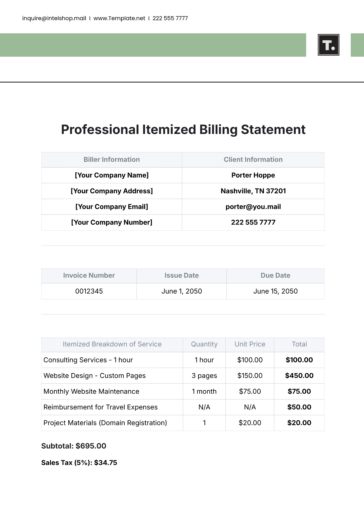 Professional Itemized Billing Statement Template - Edit Online & Download