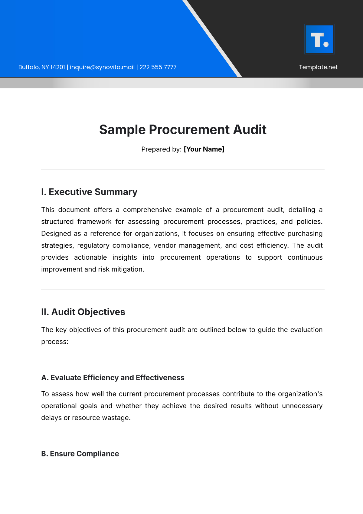 Sample Procurement Audit Template