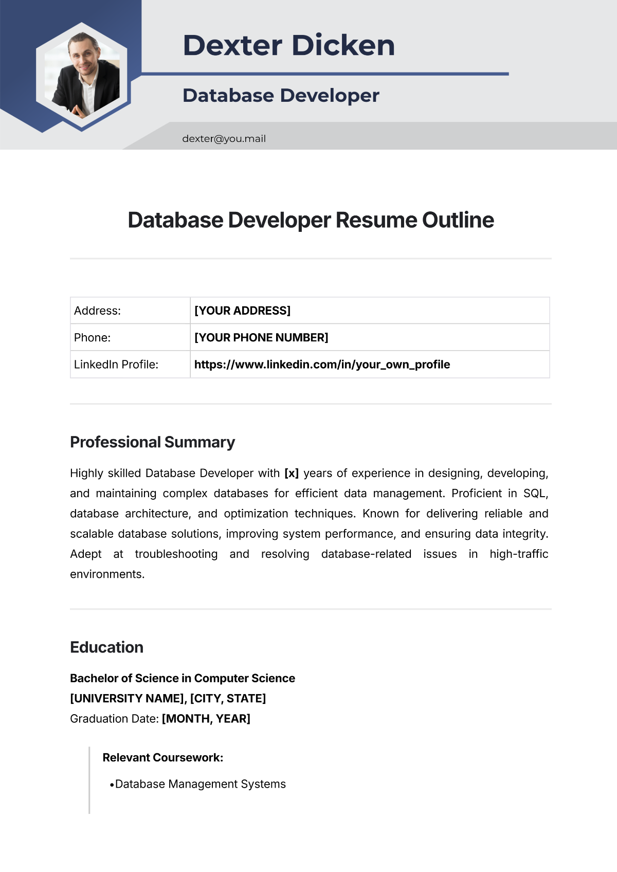 Database Developer Resume Outline Template - Edit Online & Download