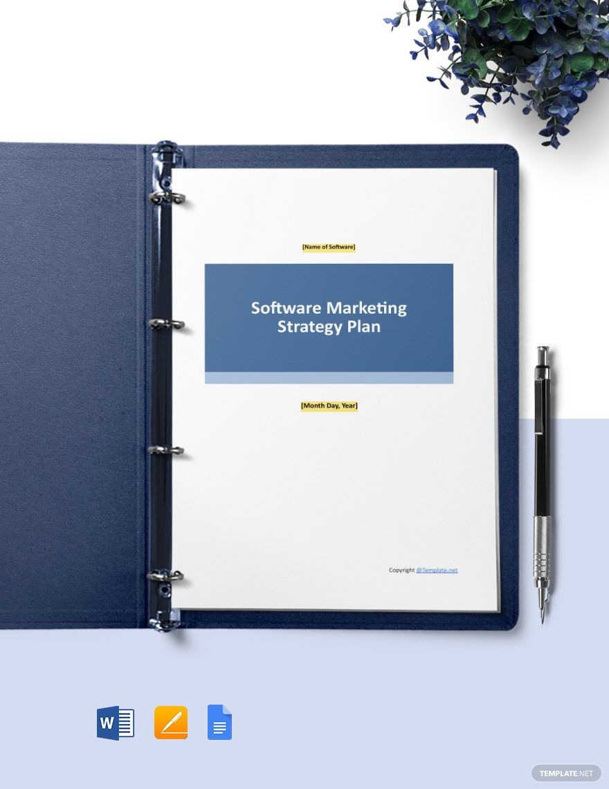 Sample Software Marketing Strategy Template