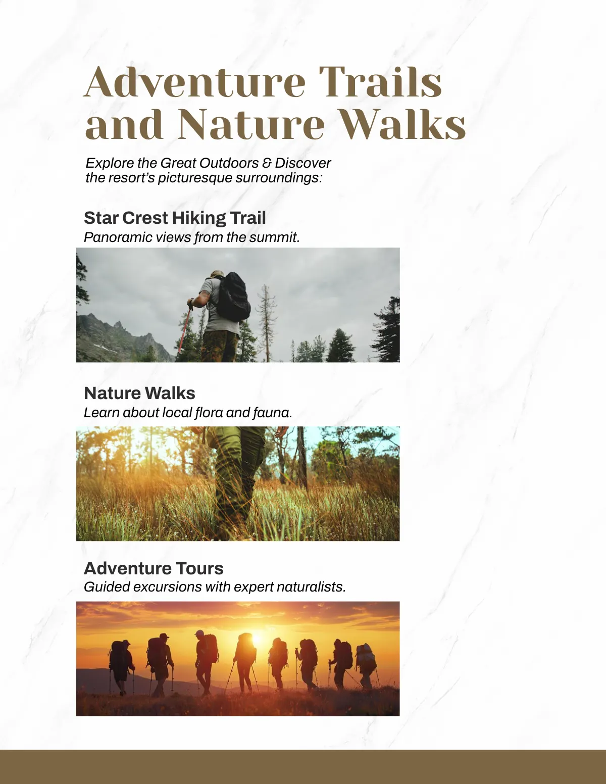 Free Magazine Template to Edit Online