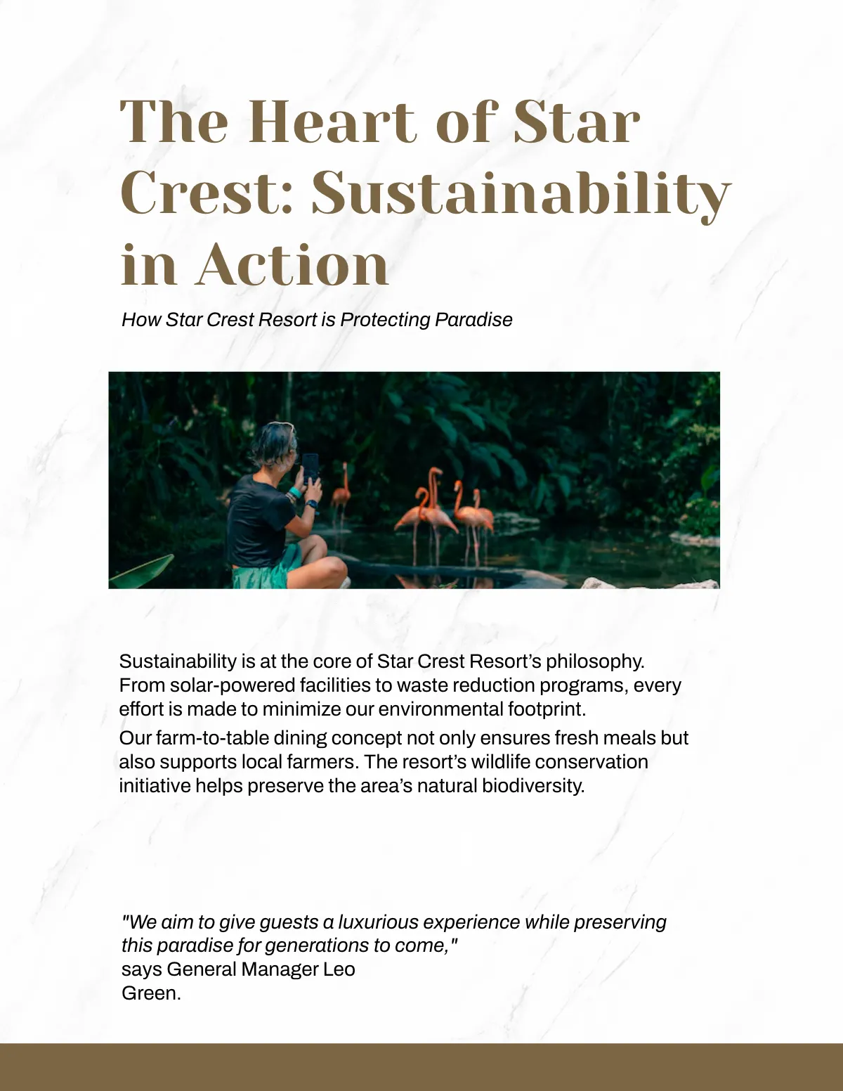 Free Magazine Template to Edit Online