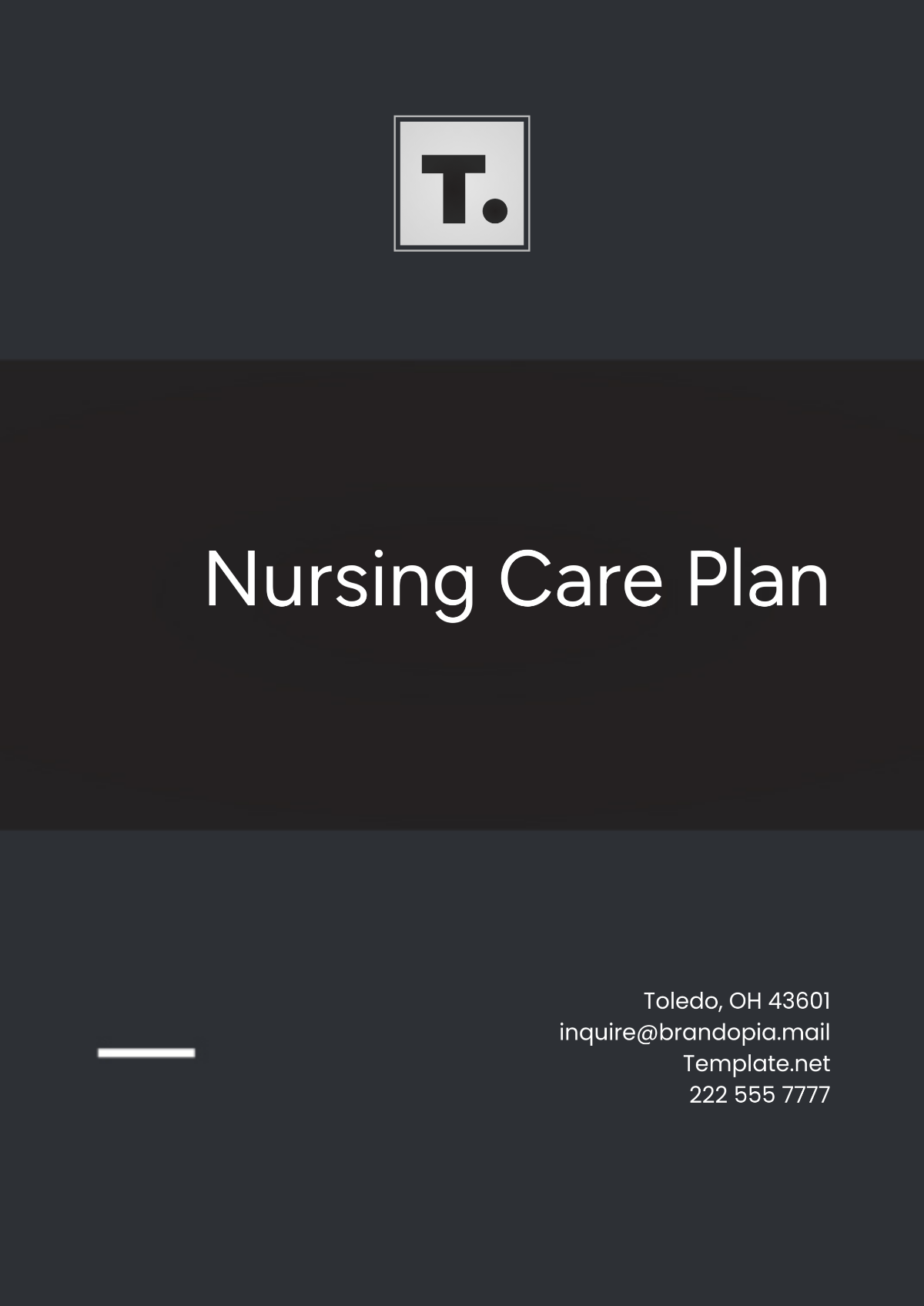 Nursing Care Plan Template - Edit Online & Download