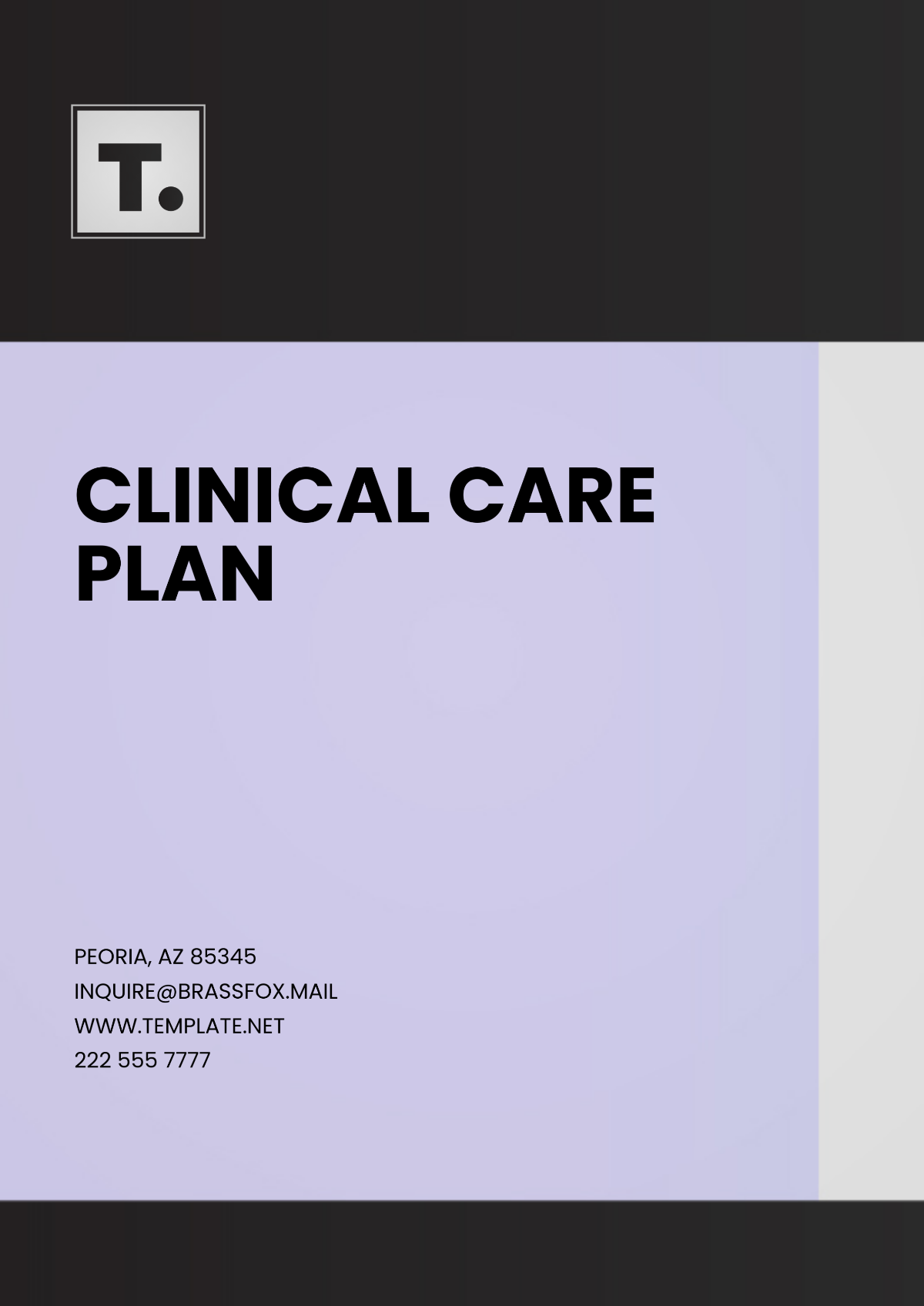 Clinical Care Plan Layout Template - Edit Online & Download