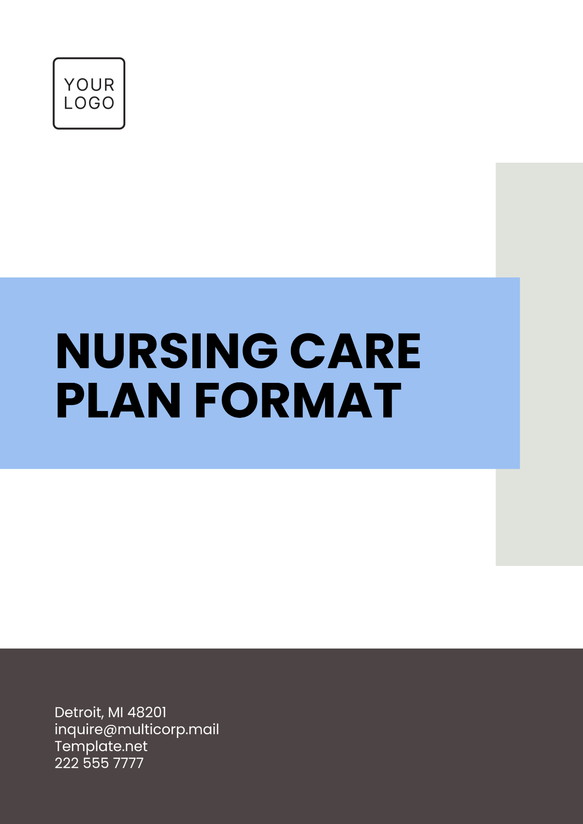 Free Home Care Care Plan Template - Edit Online & Download | Template.net