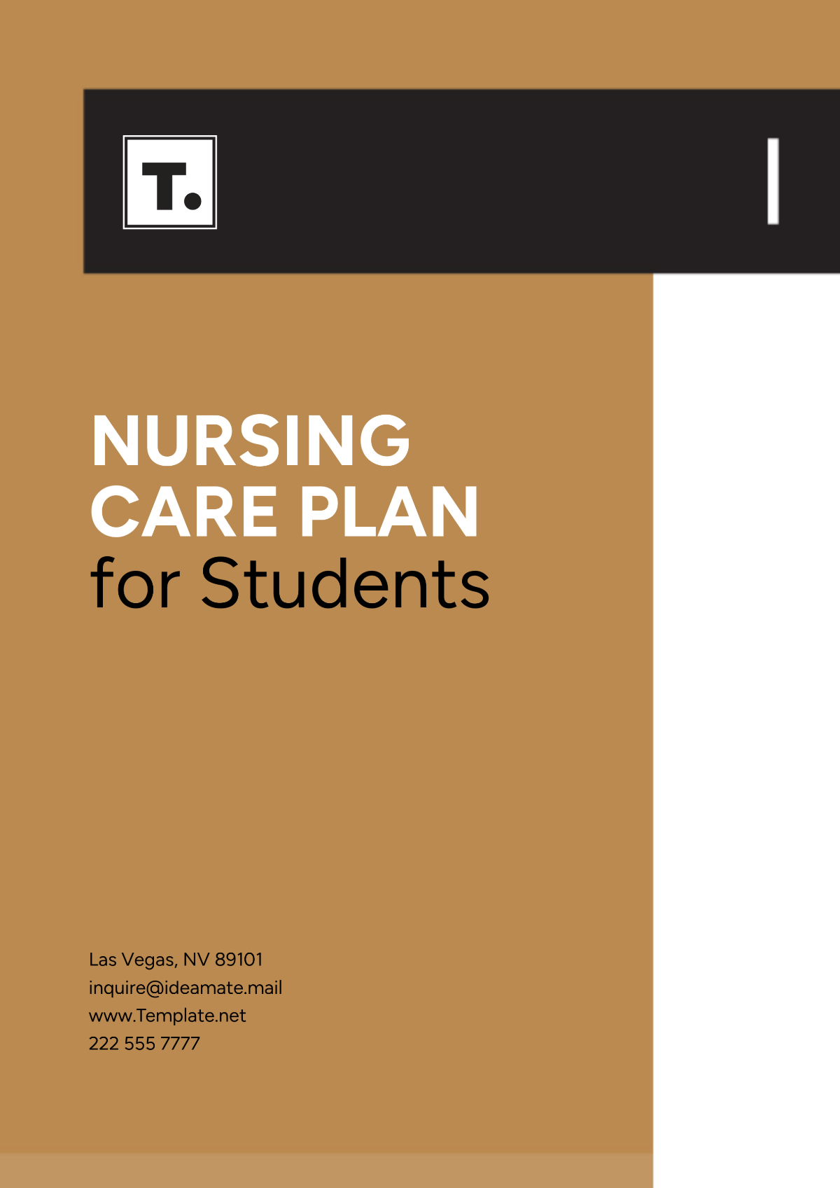 Printable Nursing Care Plan for Students Template - Edit Online & Download