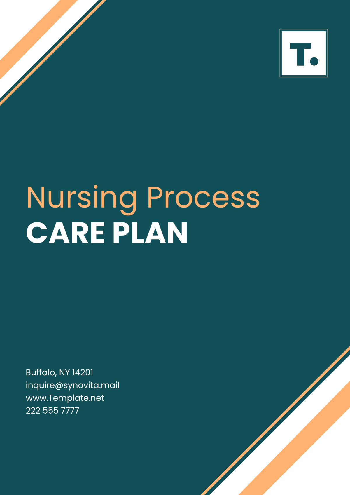 Nursing Process Care Plan Template - Edit Online & Download