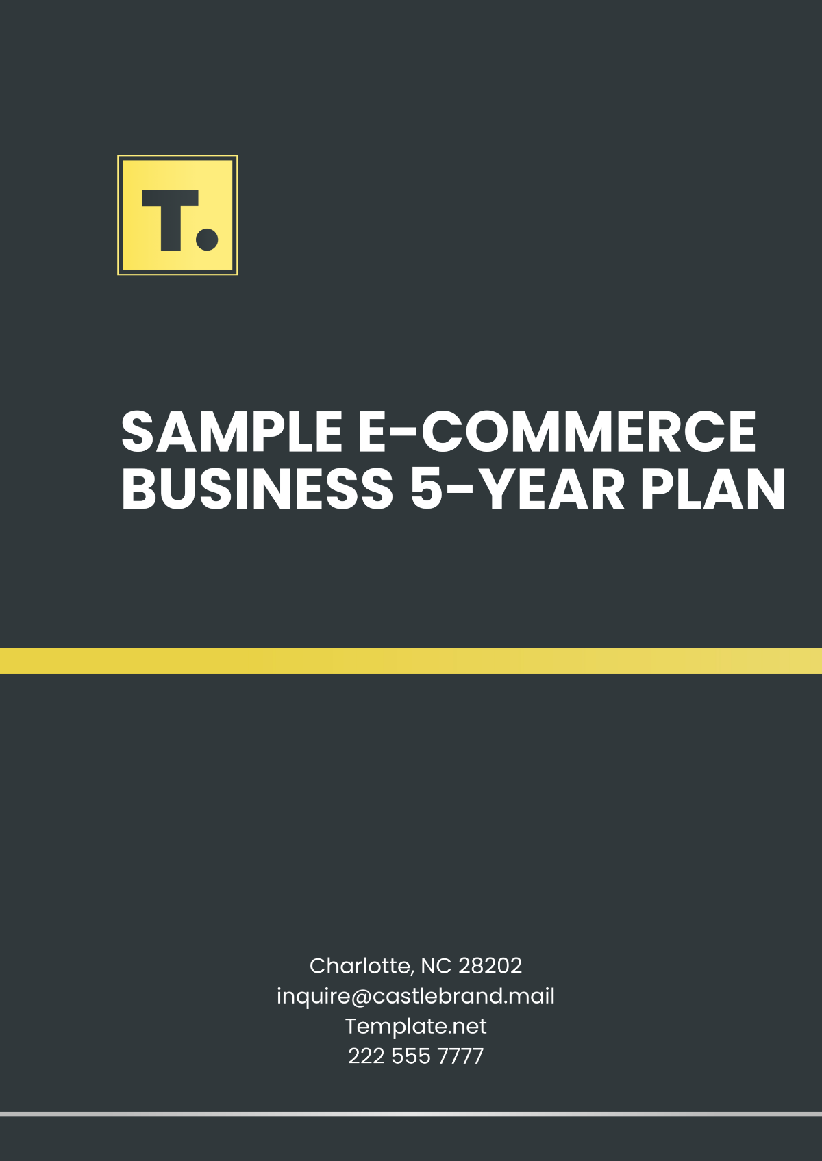 Sample E-Commerce Business 5-Year Plan Template - Edit Online & Download