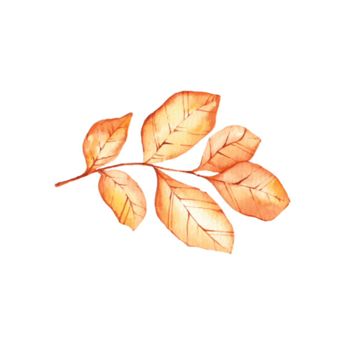 Watercolor Fall Clipart