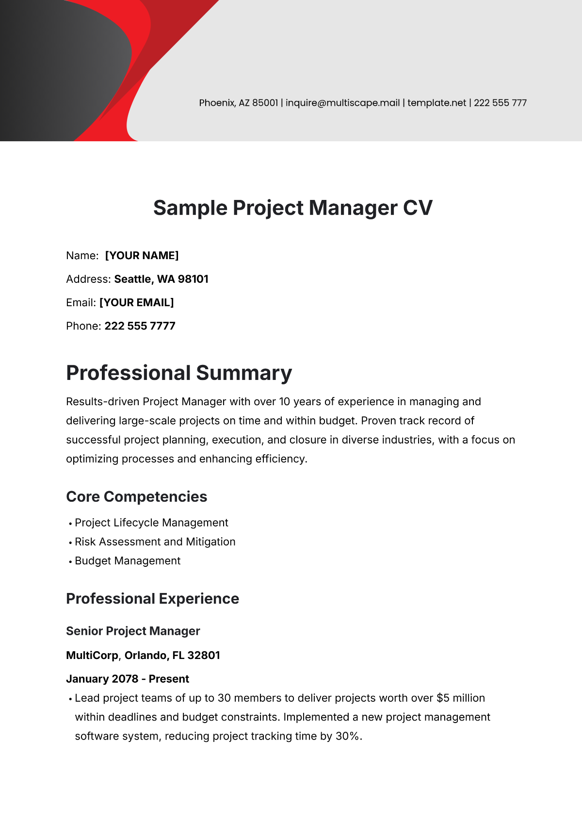 Sample Project Manager CV Template