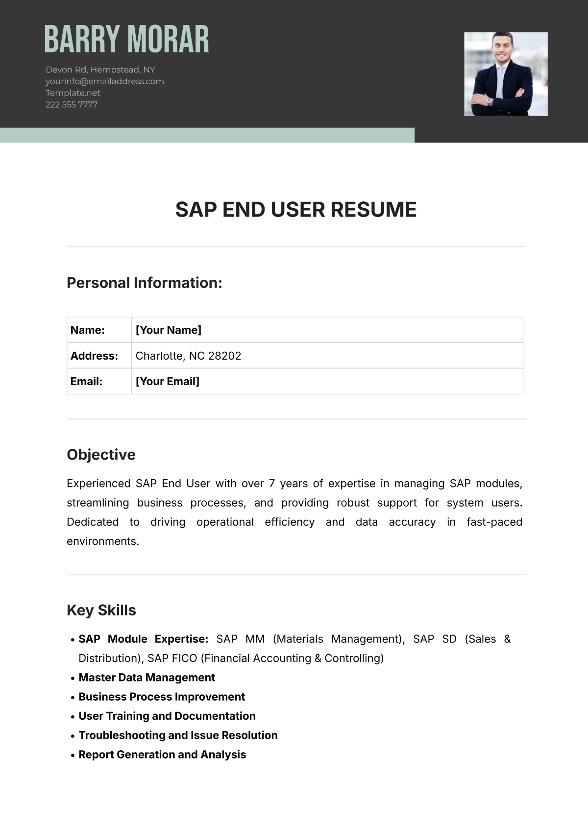 SAP End User Resume Template - Edit Online & Download