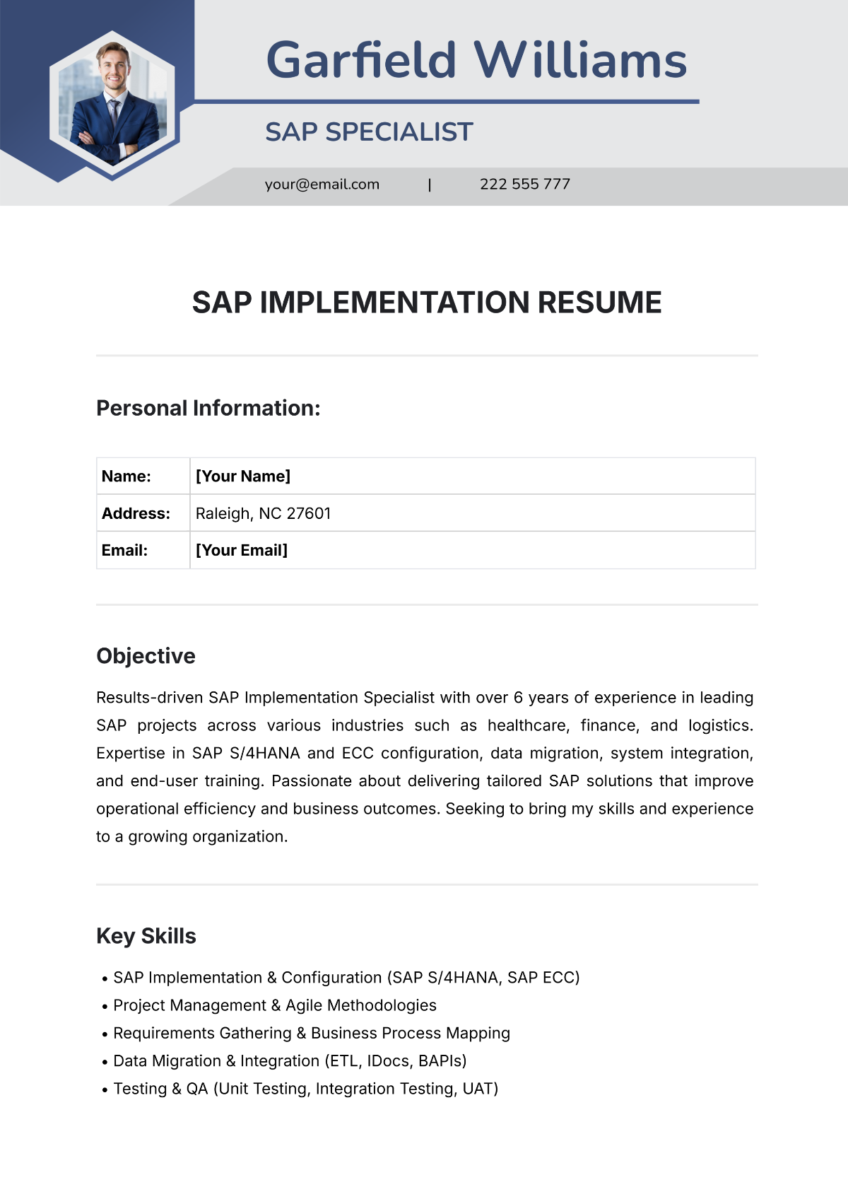 SAP Implementation Resume Template - Edit Online & Download