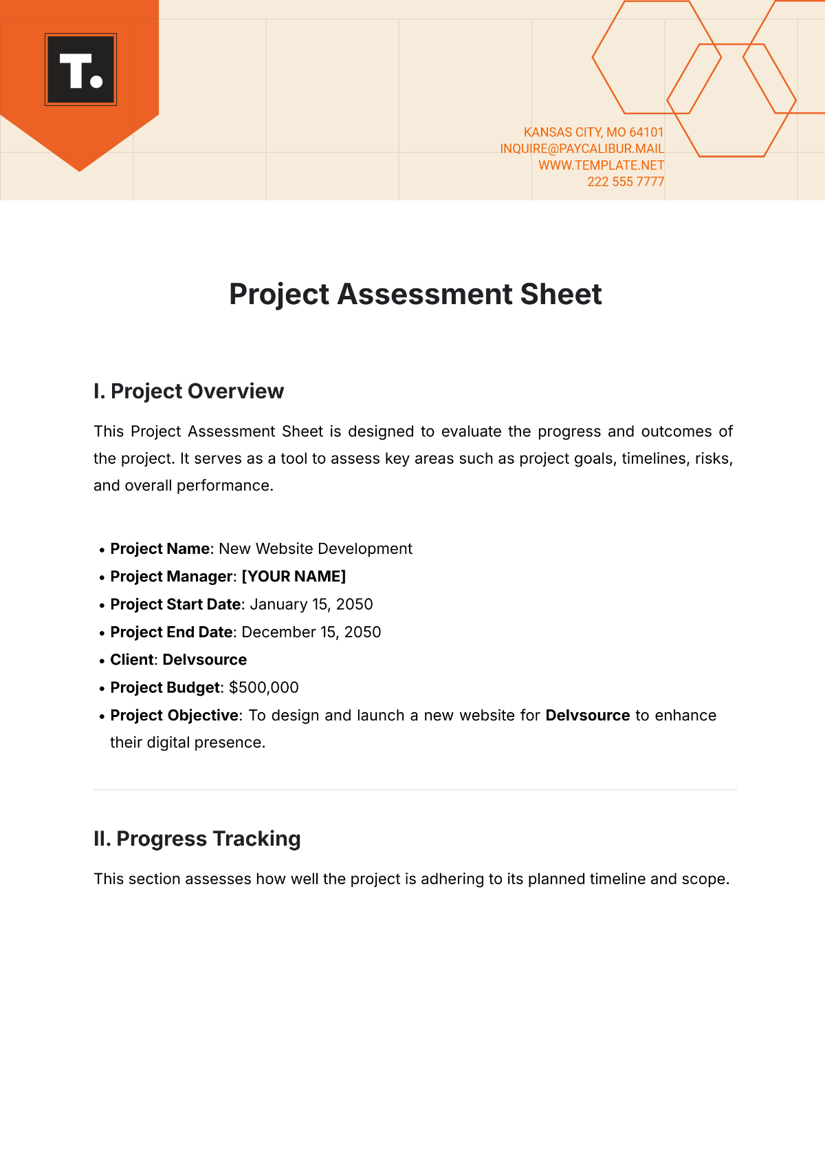 Project Assessment Sheet Template