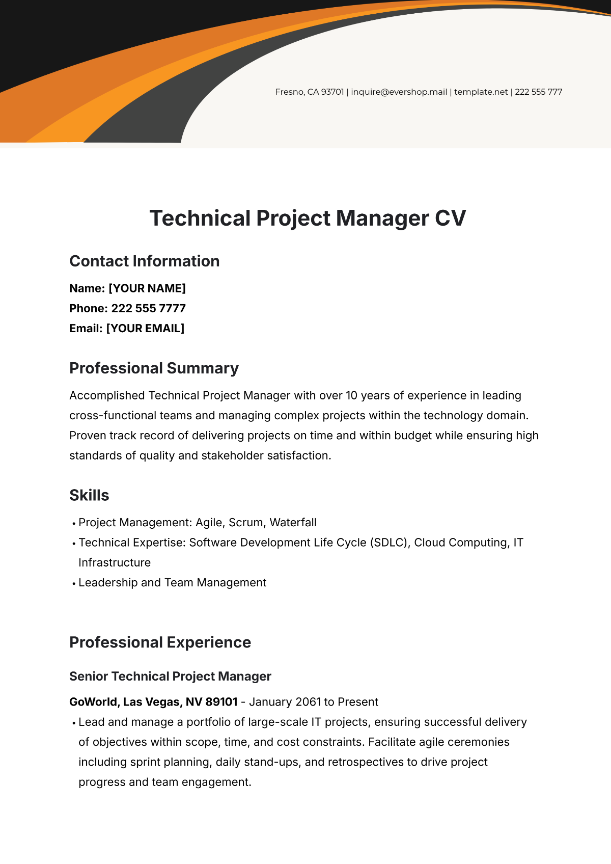 Technical Project Manager CV Template